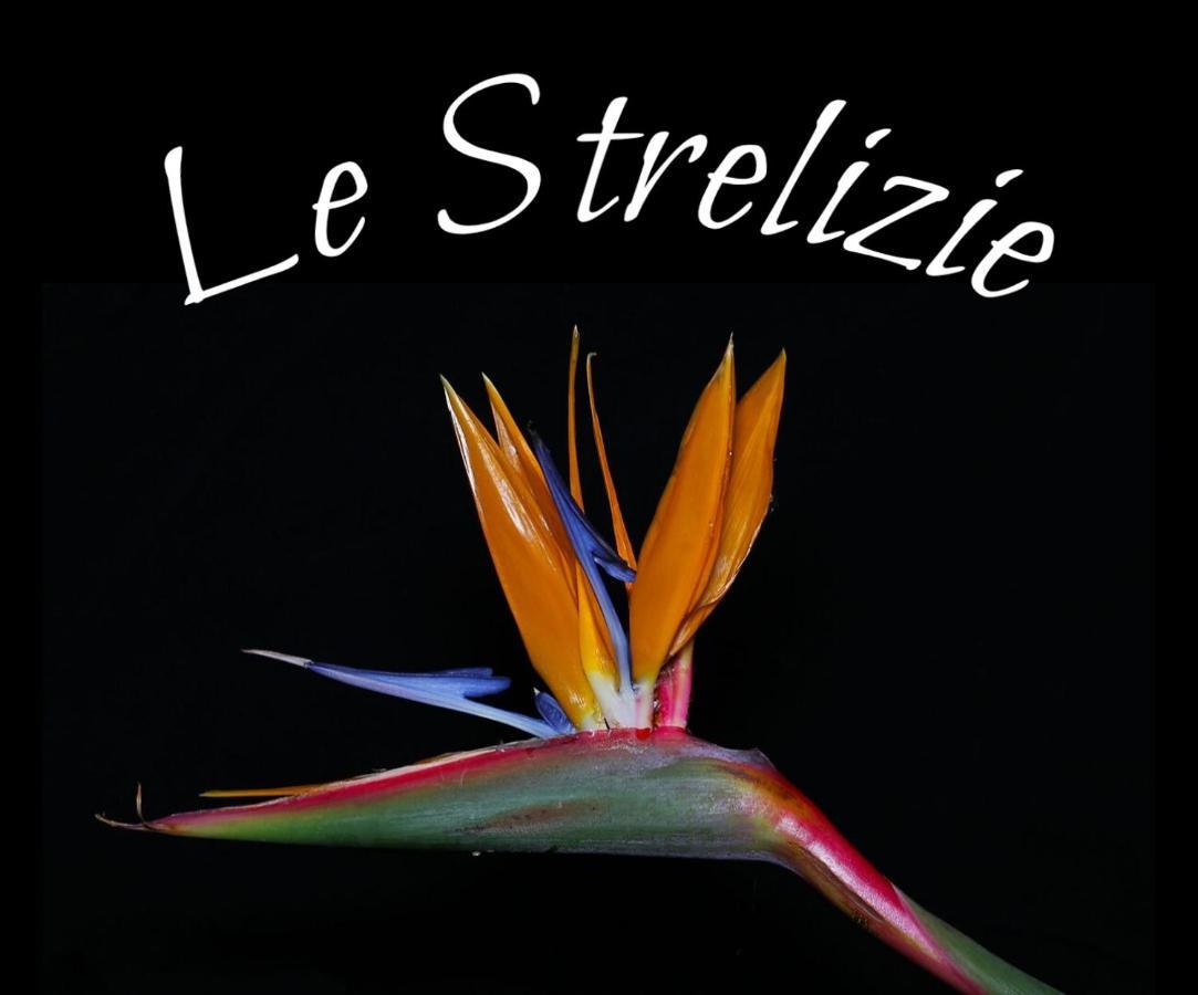 Апартаменты Le Strelizie Арнезано Экстерьер фото